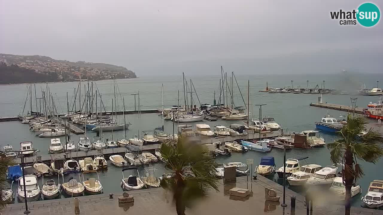 Il porto di Koper – Capodistria live webcam – porto crociere e mercantile – Slovenia