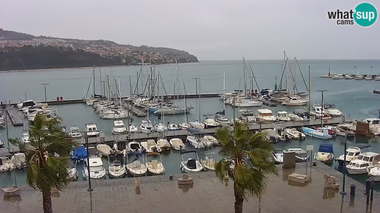 Spletna kamera Luka Koper v živo – Potniški terminal in tovorno pristanišče – Slovenija