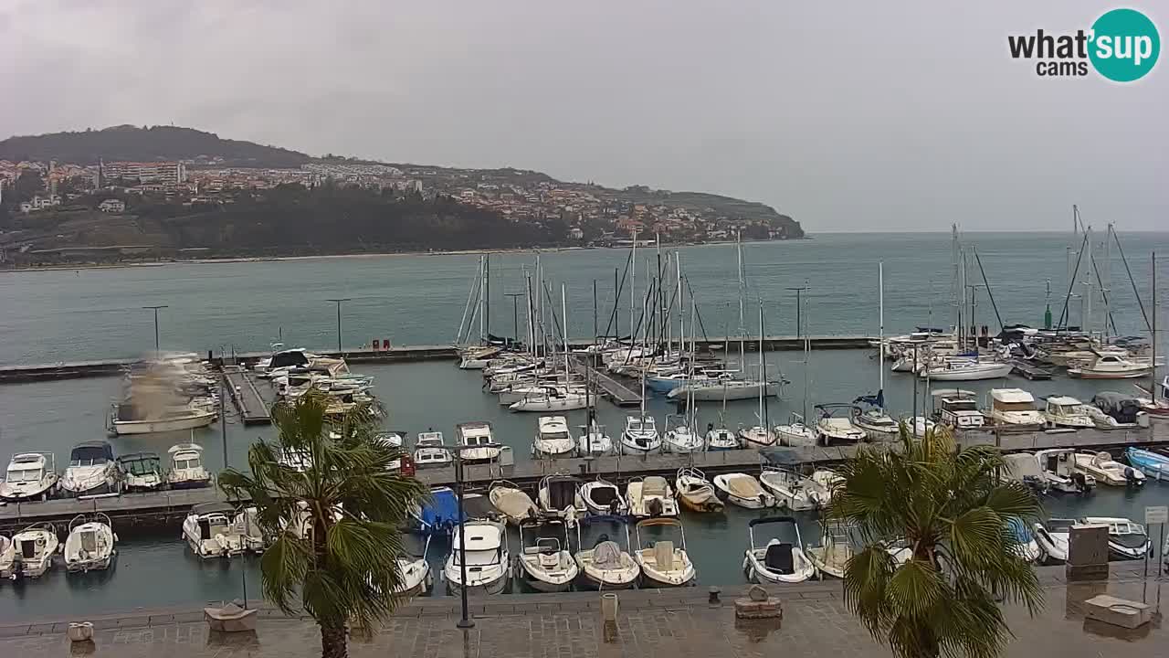 Der Hafen von Koper Live-Webcam – Kreuzfahrt- und Frachthafen – Slowenien