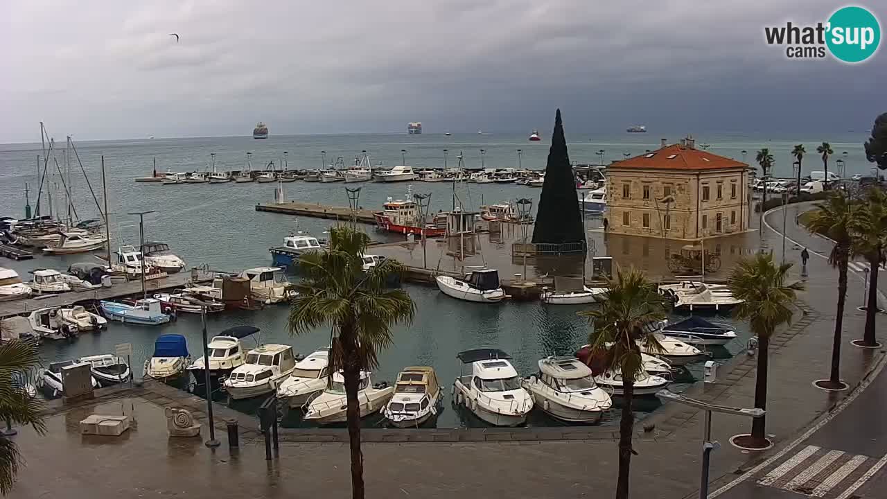 Luka Kopar uživo web kamera – Turistički terminal i teretna luka – Slovenija