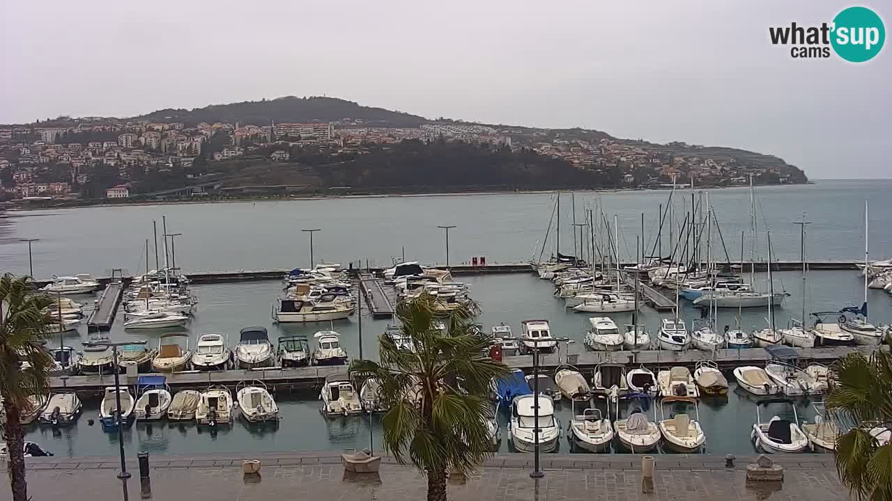 Spletna kamera Koper – Panorama na marino in promenado s Hotela Grand Koper