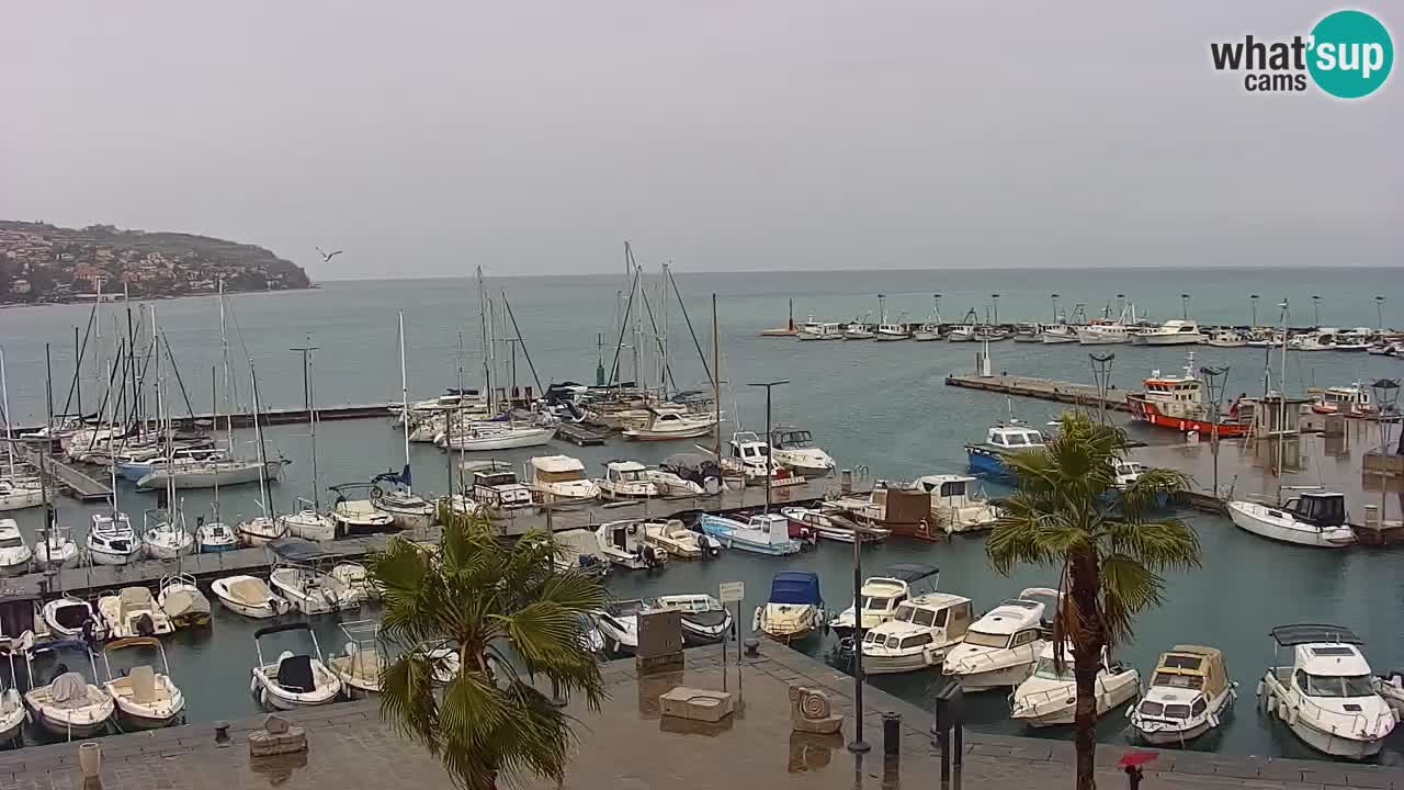 Webcam Koper – Panorama des Jachthafens und der Promenade vom Hotel Grand Koper