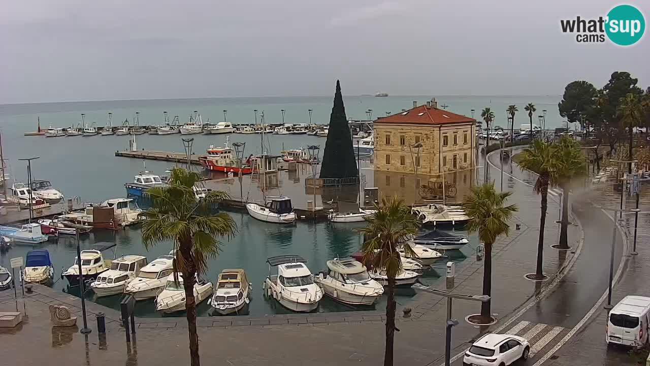 Camera en vivo Koper – puerto deportivo y paseo marítimo desde el Hotel Grand Koper