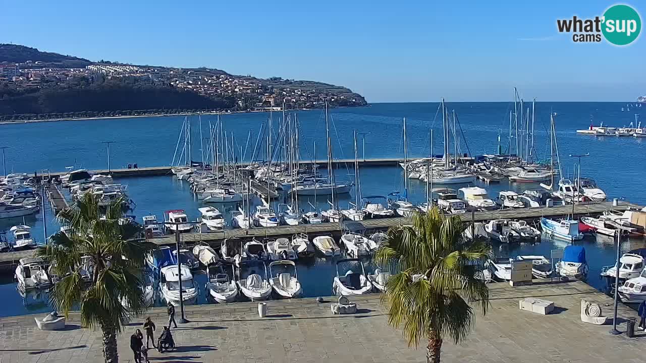 Spletna kamera Luka Koper v živo – Potniški terminal in tovorno pristanišče – Slovenija