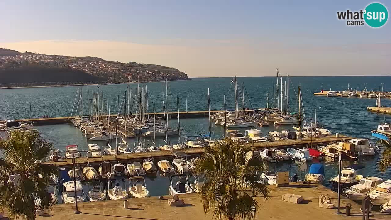 Webcam en direct du port de Koper – port de croisière et de fret – Slovénie