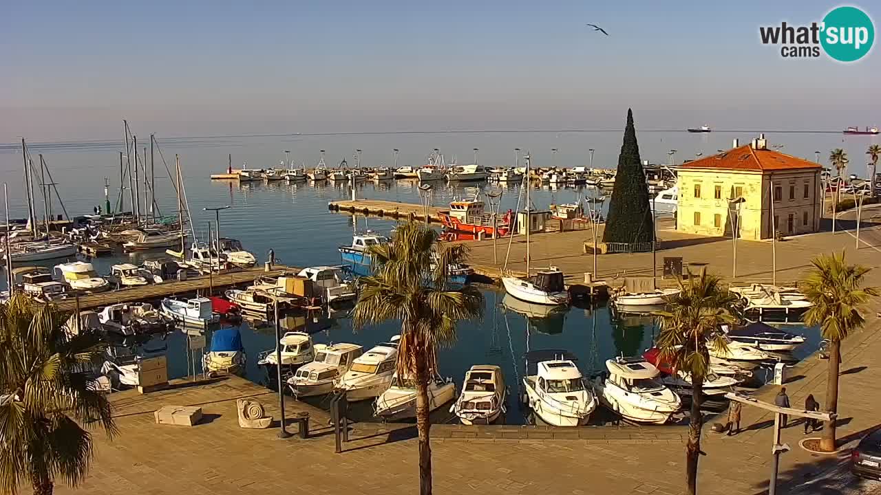 Web kamera Koper – marina i promenada – hotel Grand Koper