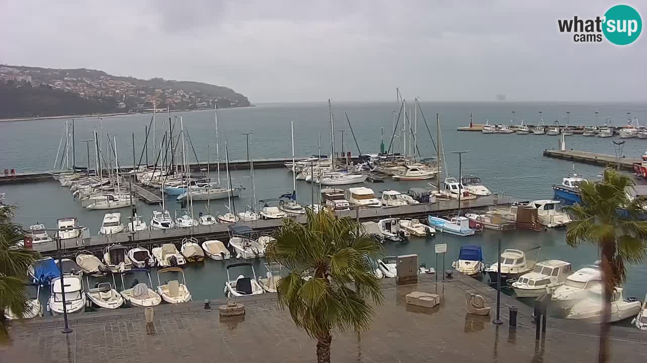 Webcam Koper – Panorama des Jachthafens und der Promenade vom Hotel Grand Koper