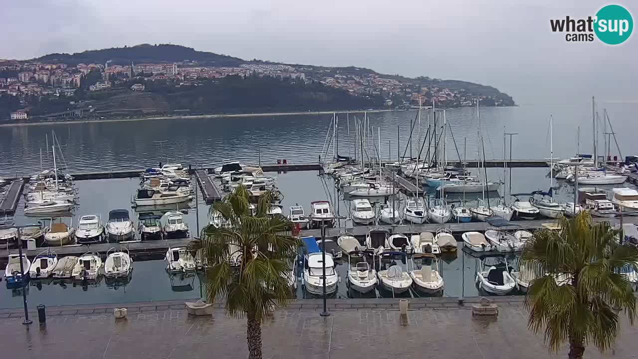 Webcam Capodistria – marina e lungo mare dall’Hotel Grand Koper