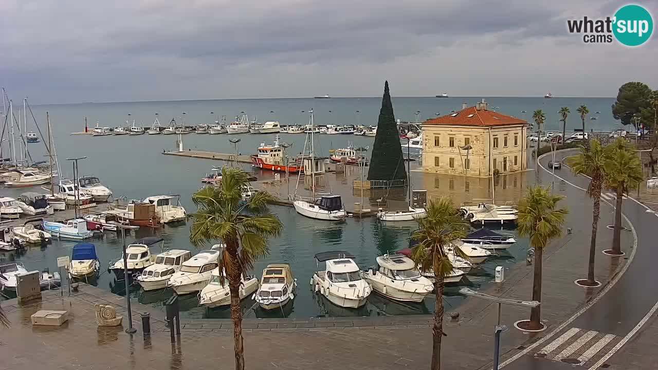 Webcam Koper – Panorama of the marina and promenade from the Grand Hotel Koper