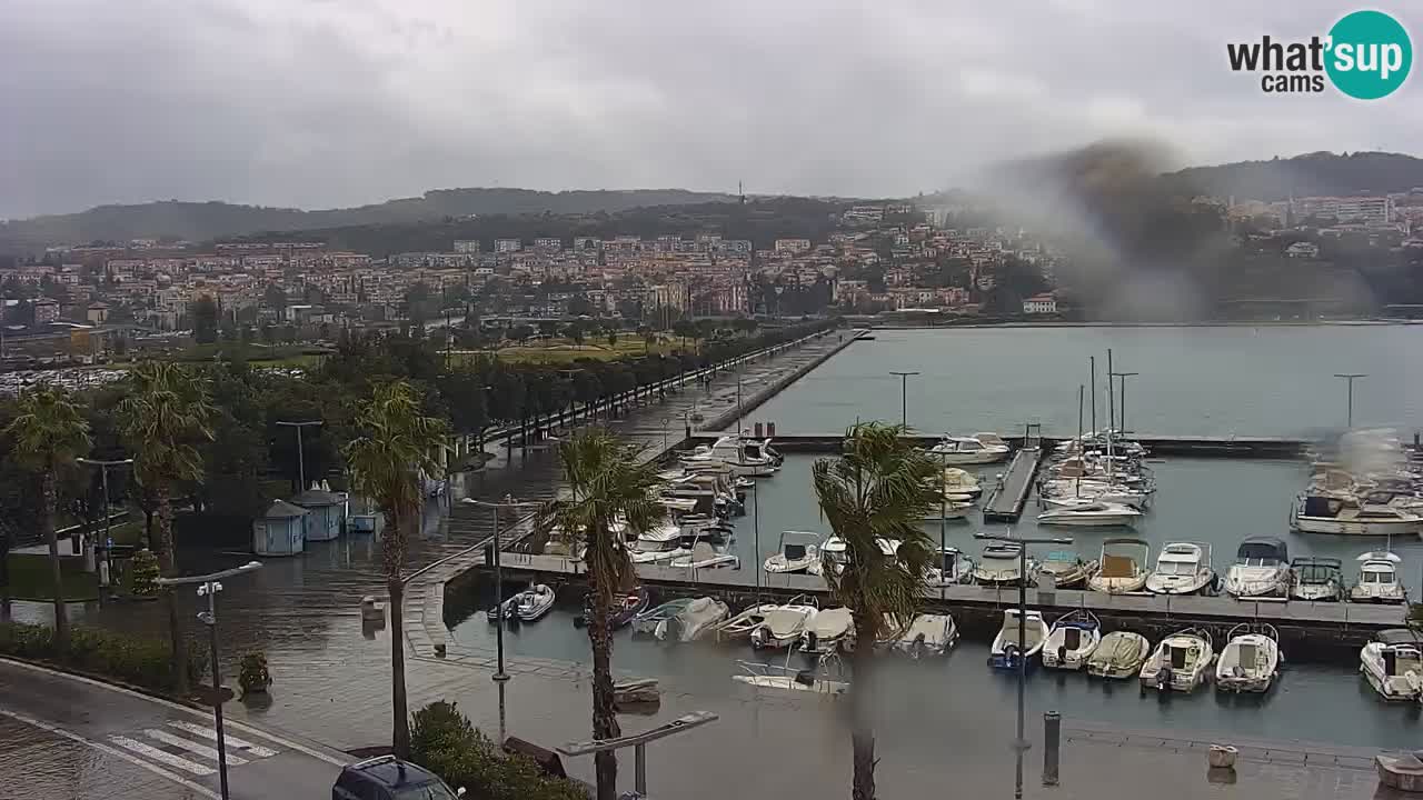 Web kamera Koper – marina i promenada – hotel Grand Koper