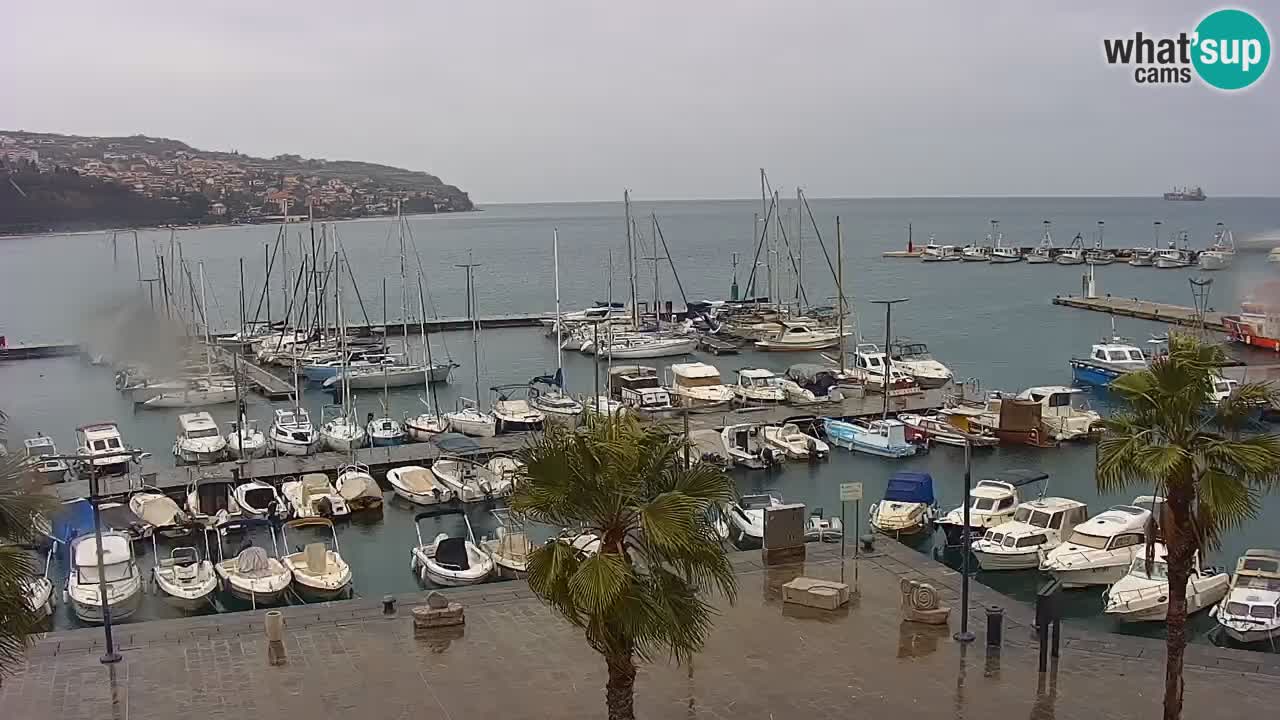 Web kamera Koper – marina i promenada – hotel Grand Koper