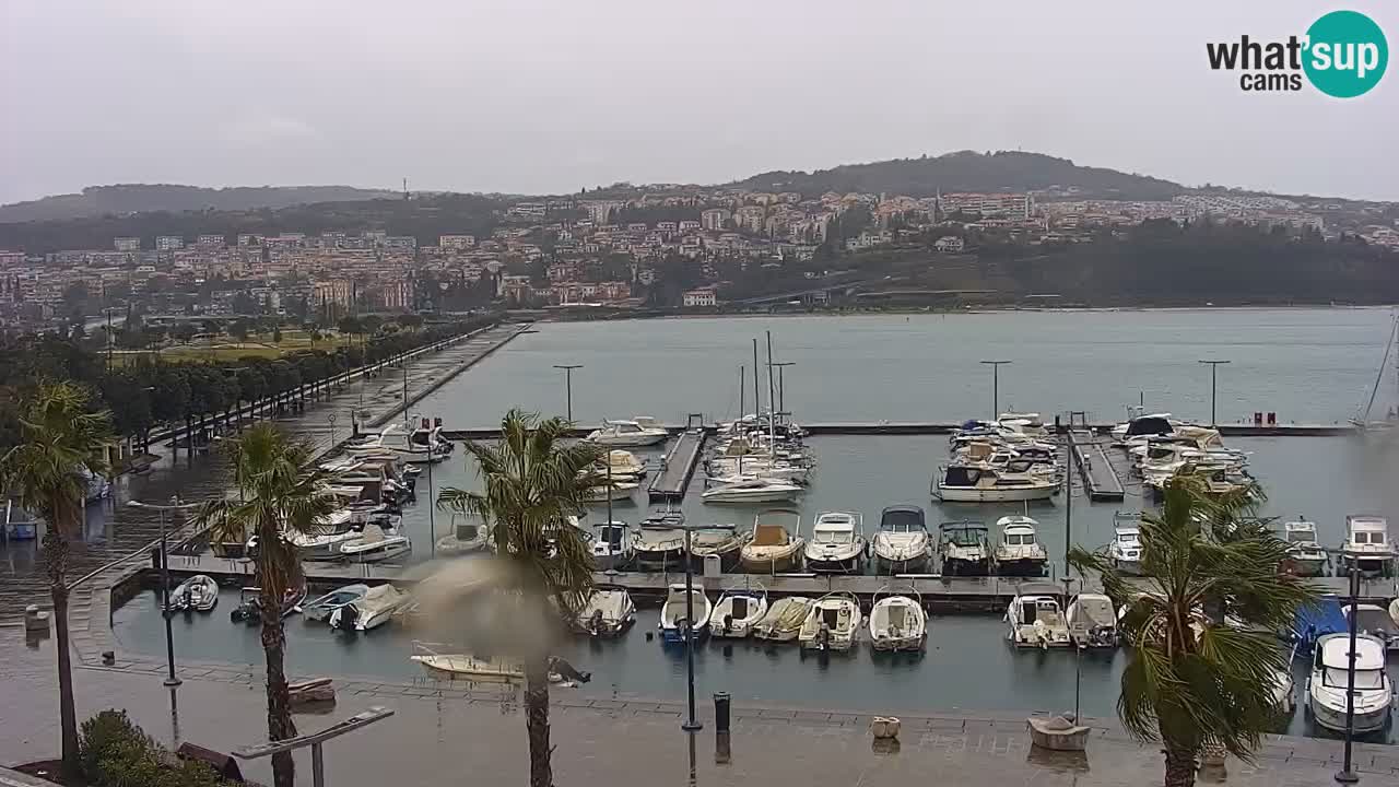 Webcam en direct du port de Koper – port de croisière et de fret – Slovénie