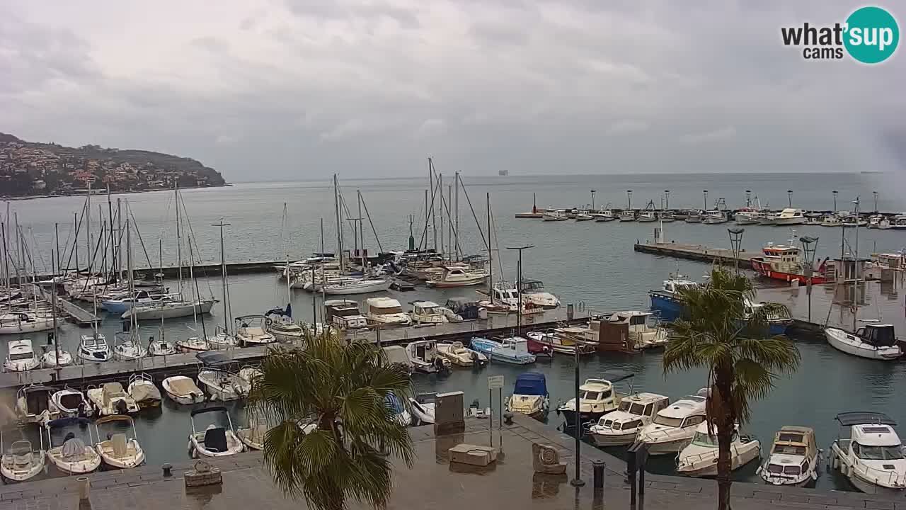 Web kamera Koper – marina i promenada – hotel Grand Koper
