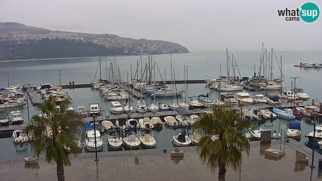 Camera en vivo Koper – puerto deportivo y paseo marítimo desde el Hotel Grand Koper