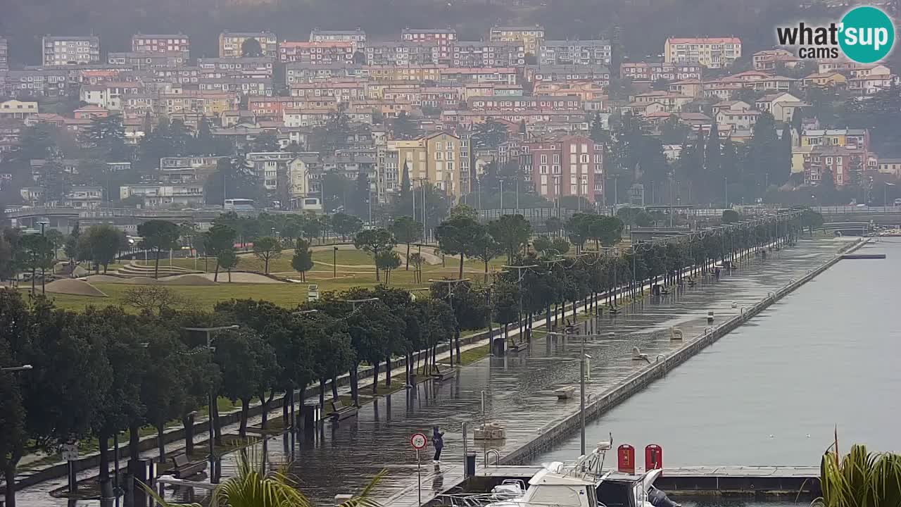 Webcam Koper – Panorama of the marina and promenade from the Grand Hotel Koper
