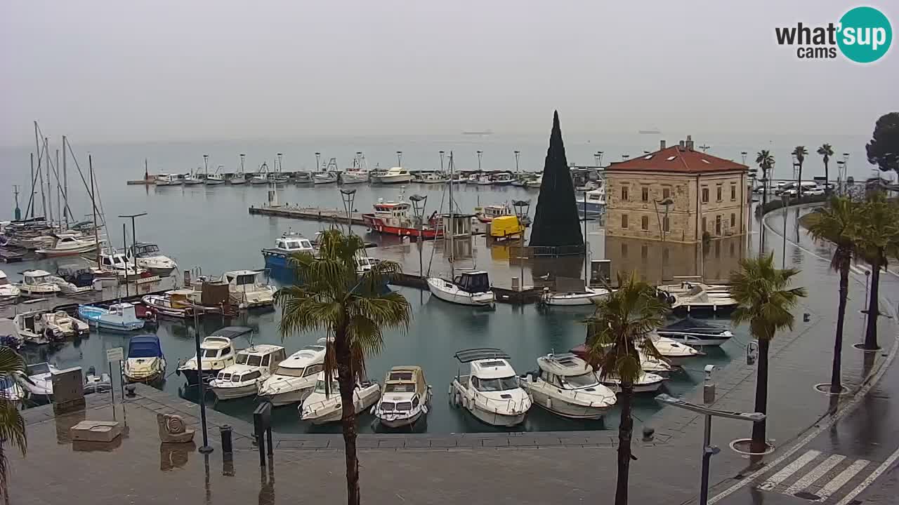 Webcam Koper – Panorama des Jachthafens und der Promenade vom Hotel Grand Koper