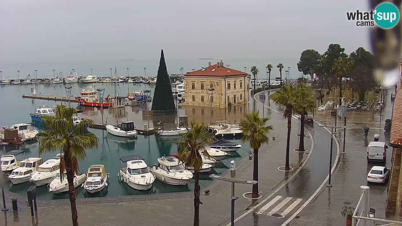 Web kamera Koper – marina i promenada – hotel Grand Koper