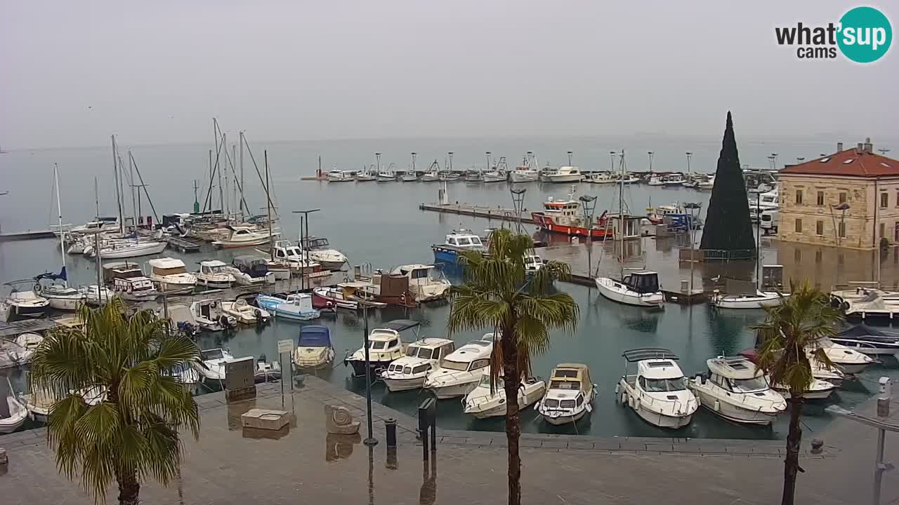 Webcam Koper – Panorama des Jachthafens und der Promenade vom Hotel Grand Koper