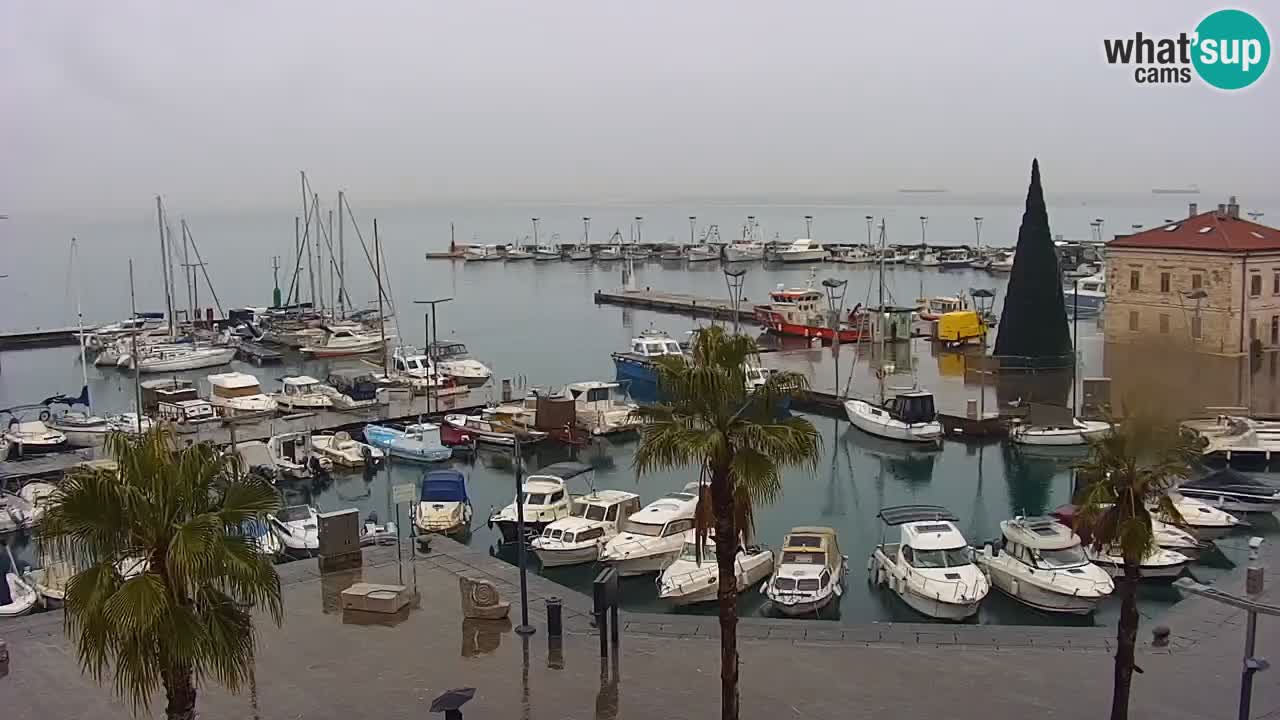 Spletna kamera Koper – Panorama na marino in promenado s Hotela Grand Koper