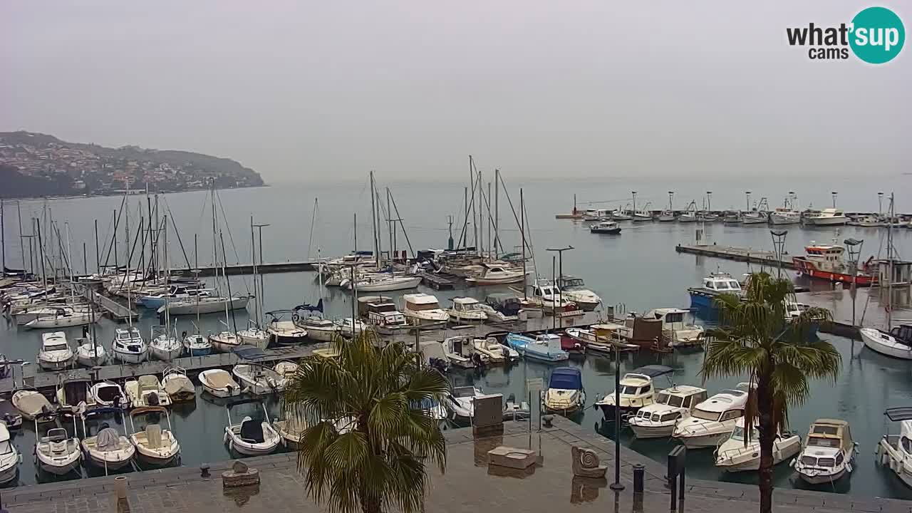 Camera en vivo Koper – puerto deportivo y paseo marítimo desde el Hotel Grand Koper