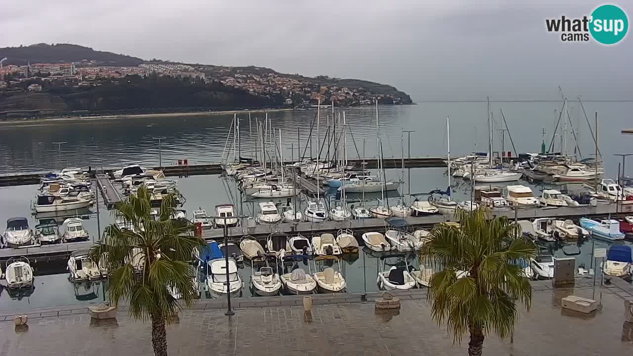 Webcam Koper – Panorama of the marina and promenade from the Grand Hotel Koper