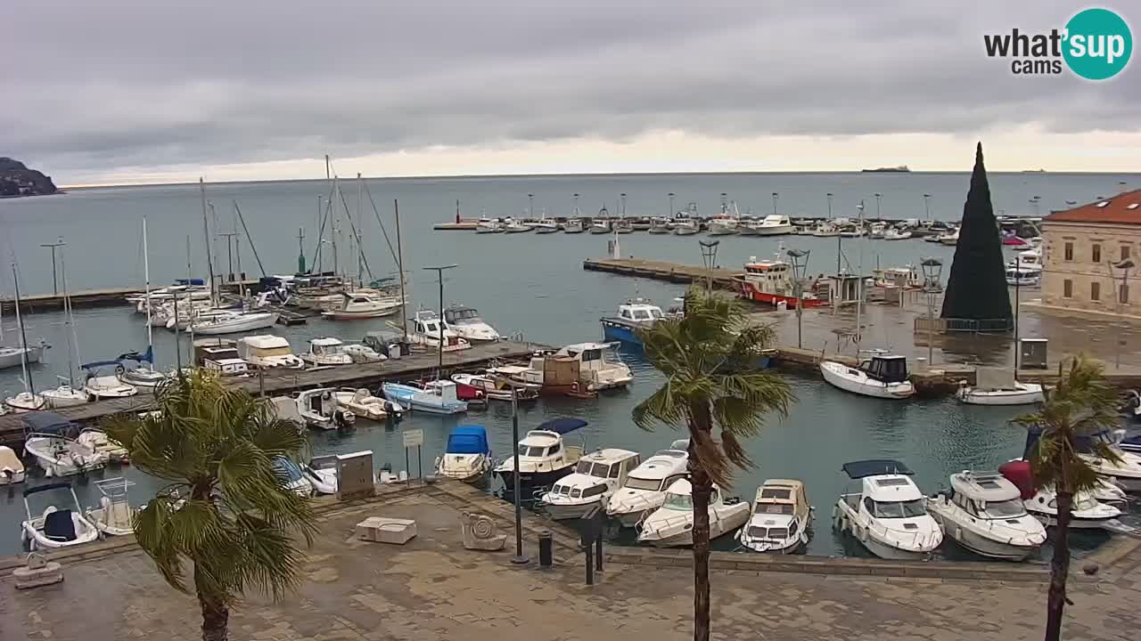 Web kamera Koper – marina i promenada – hotel Grand Koper