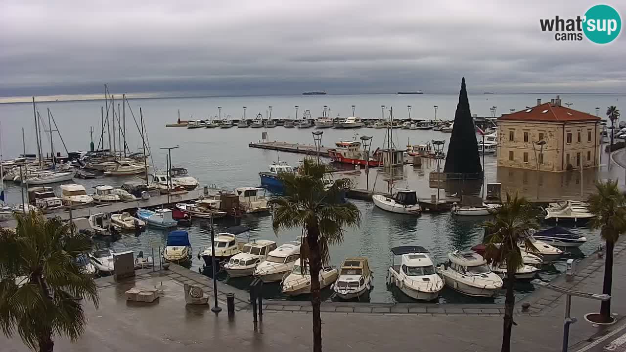 Webcam Koper – Panorama of the marina and promenade from the Grand Hotel Koper
