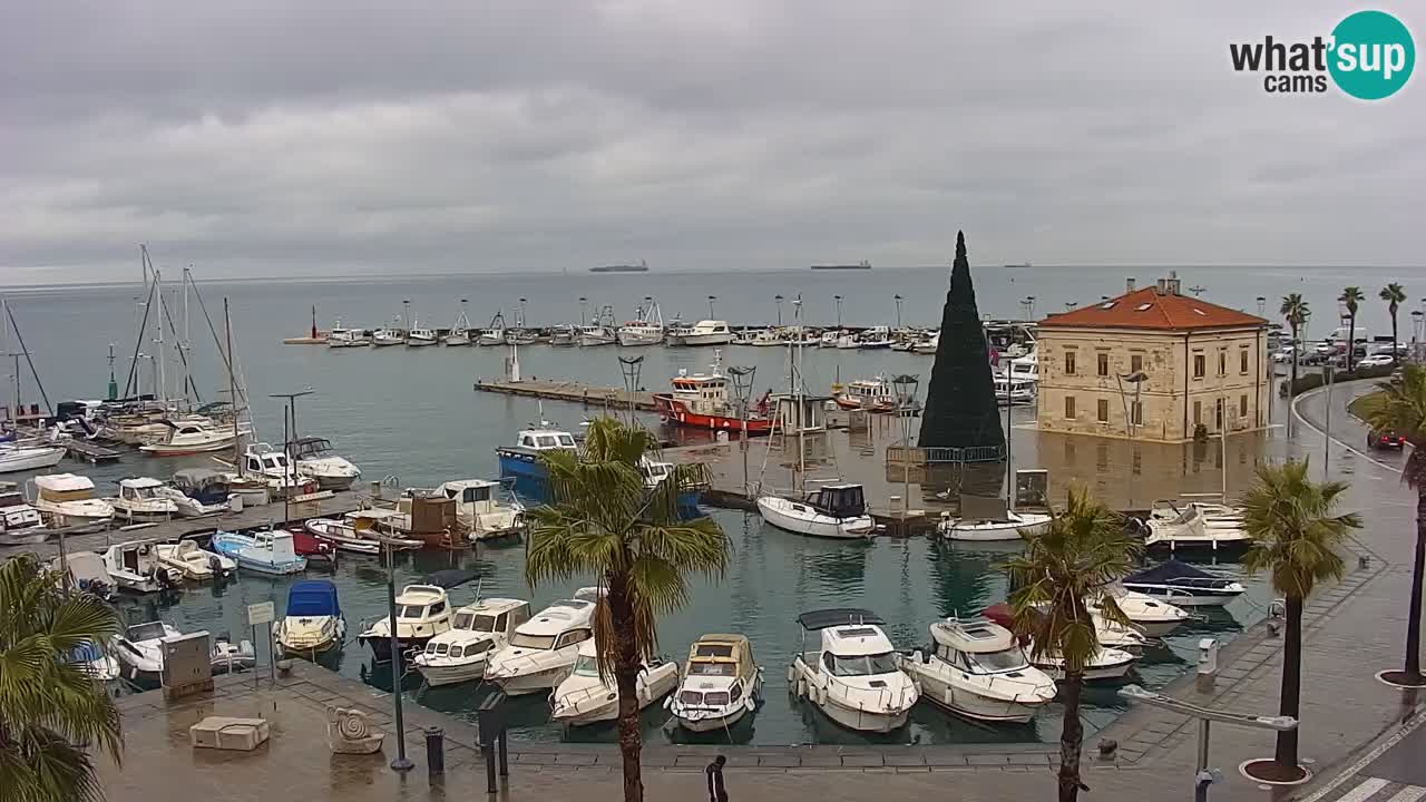 Camera en vivo Koper – puerto deportivo y paseo marítimo desde el Hotel Grand Koper