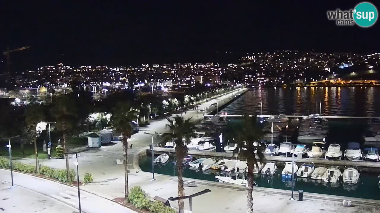 The Port of Koper live webcam – cruise and cargo port – Slovenia