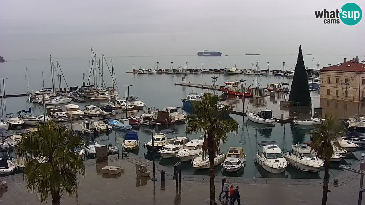Spletna kamera Koper – Panorama na marino in promenado s Hotela Grand Koper