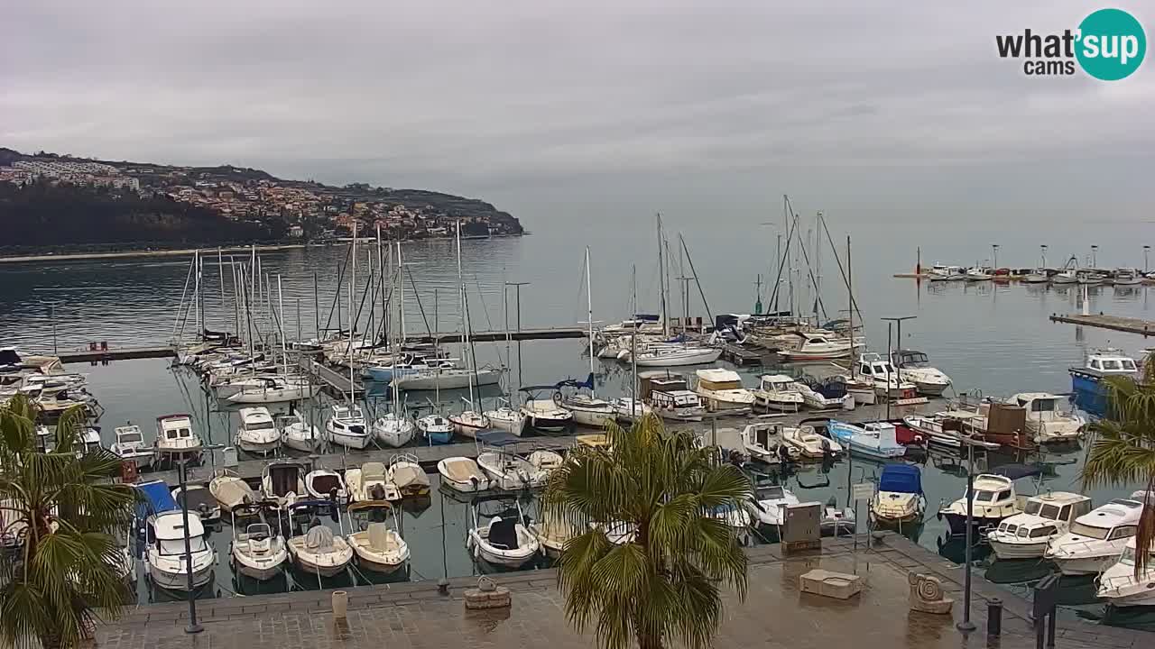 Webcam Koper – Panorama de la marina et de la promenade depuis le Grand Hotel Koper