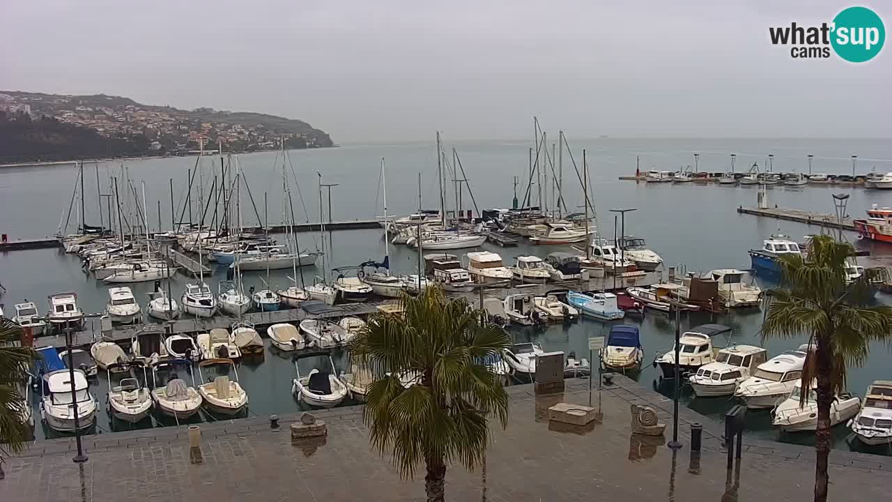 Camera en vivo Koper – puerto deportivo y paseo marítimo desde el Hotel Grand Koper