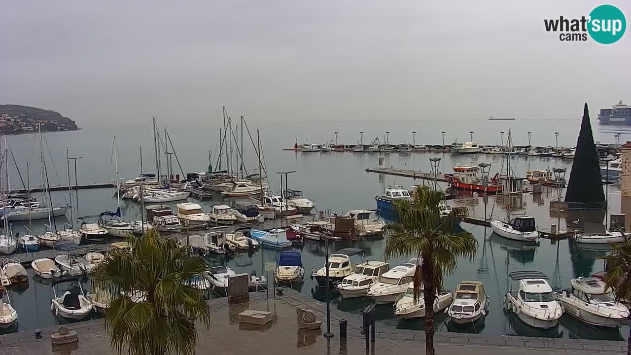 Webcam Koper – Panorama of the marina and promenade from the Grand Hotel Koper