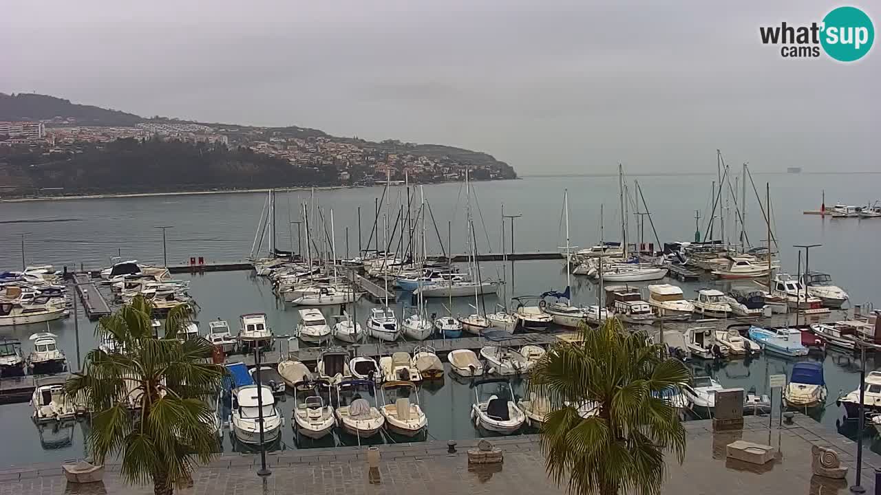 Camera en vivo Koper – puerto deportivo y paseo marítimo desde el Hotel Grand Koper