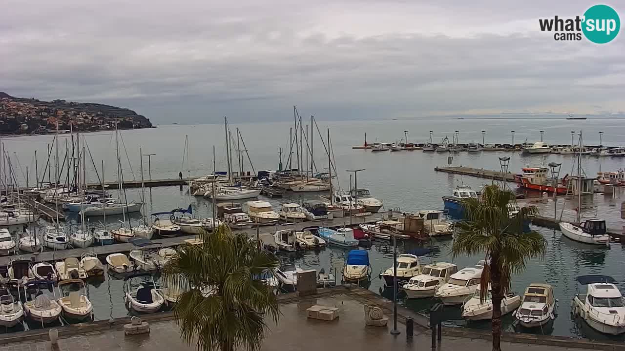 Webcam Koper – Panorama des Jachthafens und der Promenade vom Hotel Grand Koper