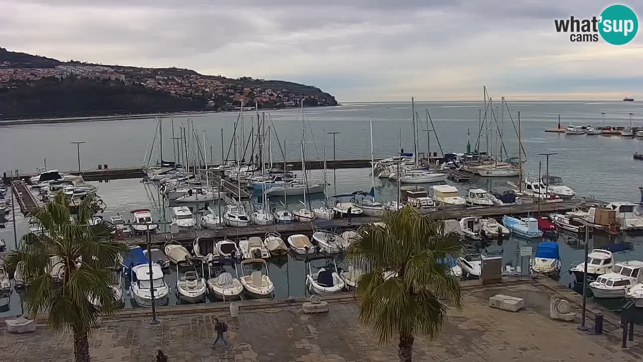 Webcam Koper – Panorama de la marina et de la promenade depuis le Grand Hotel Koper