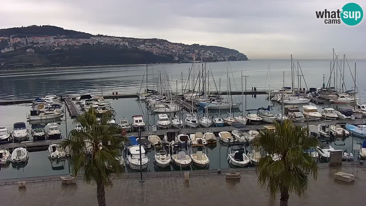 Web kamera Koper – marina i promenada – hotel Grand Koper