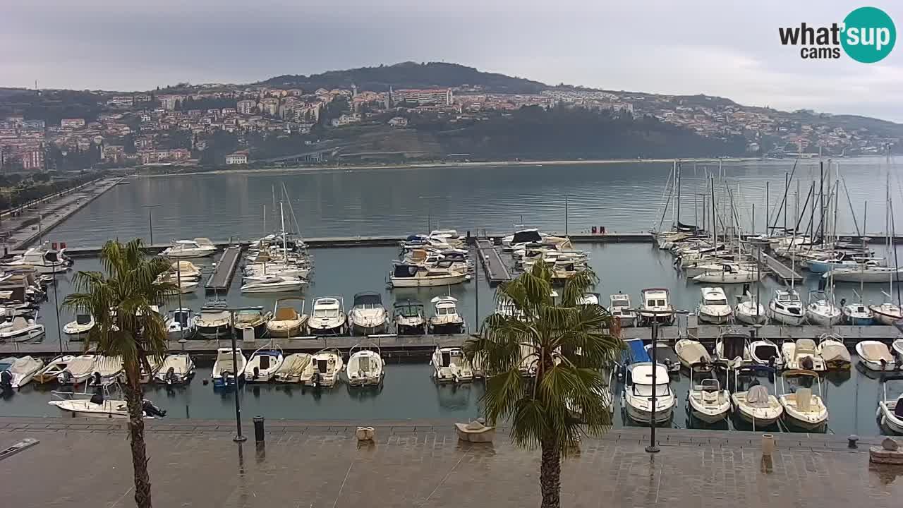Spletna kamera Koper – Panorama na marino in promenado s Hotela Grand Koper