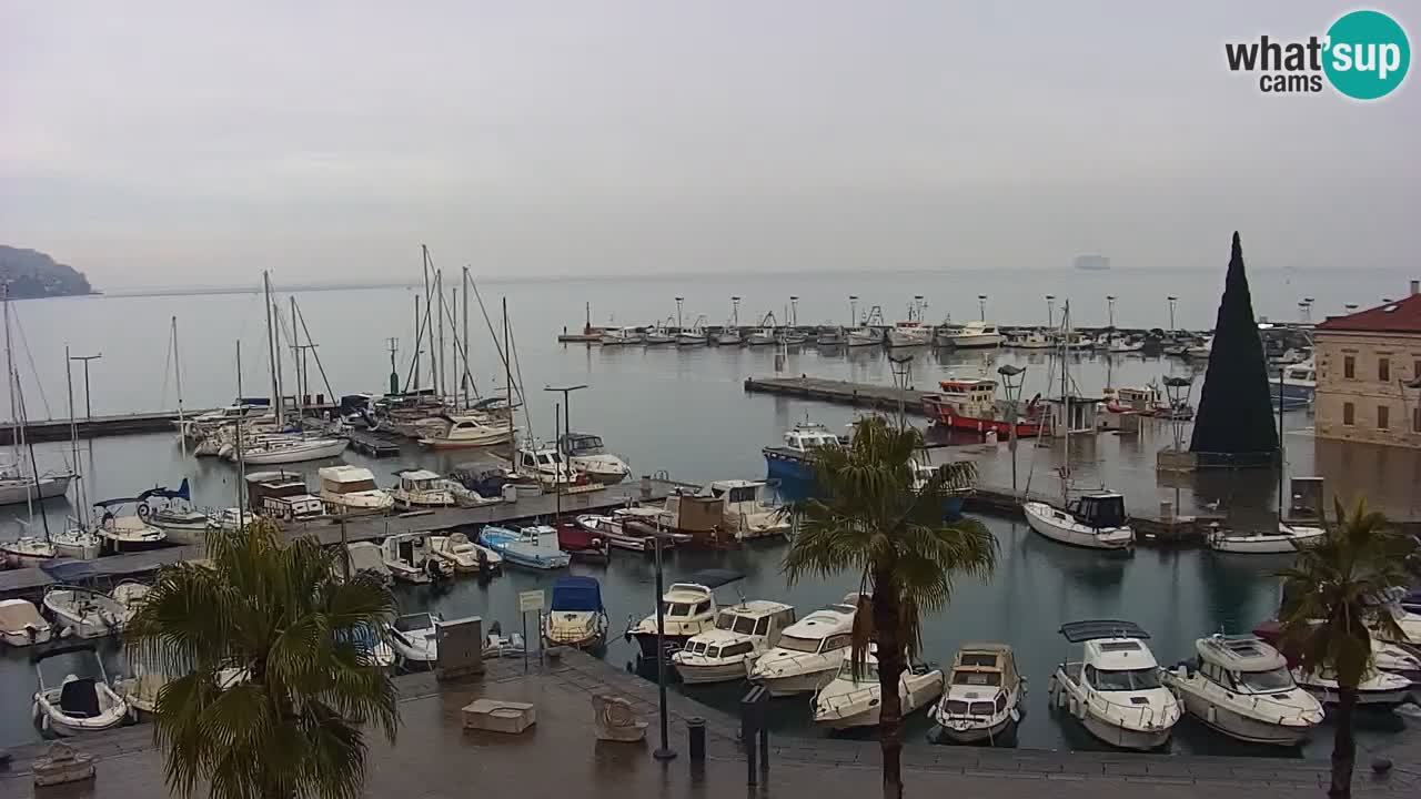 Spletna kamera Koper – Panorama na marino in promenado s Hotela Grand Koper
