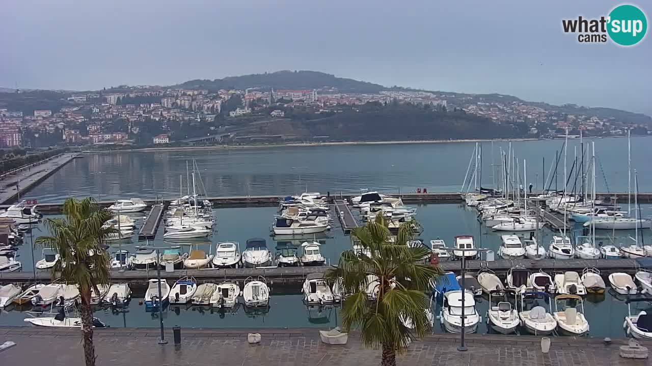 Webcam Koper – Panorama of the marina and promenade from the Grand Hotel Koper