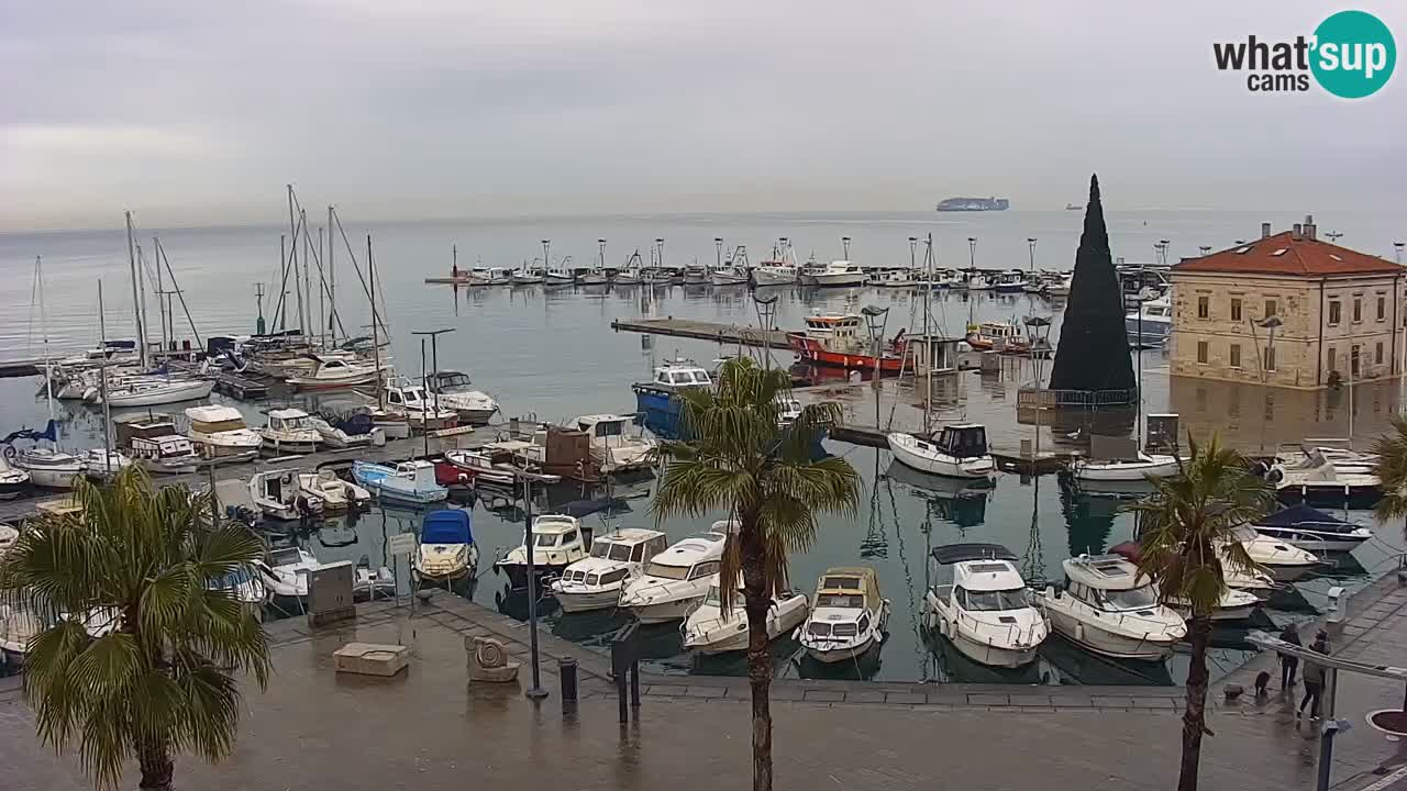 Spletna kamera Koper – Panorama na marino in promenado s Hotela Grand Koper
