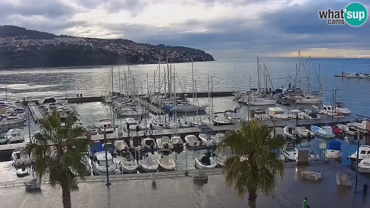 Web kamera Koper – marina i promenada – hotel Grand Koper
