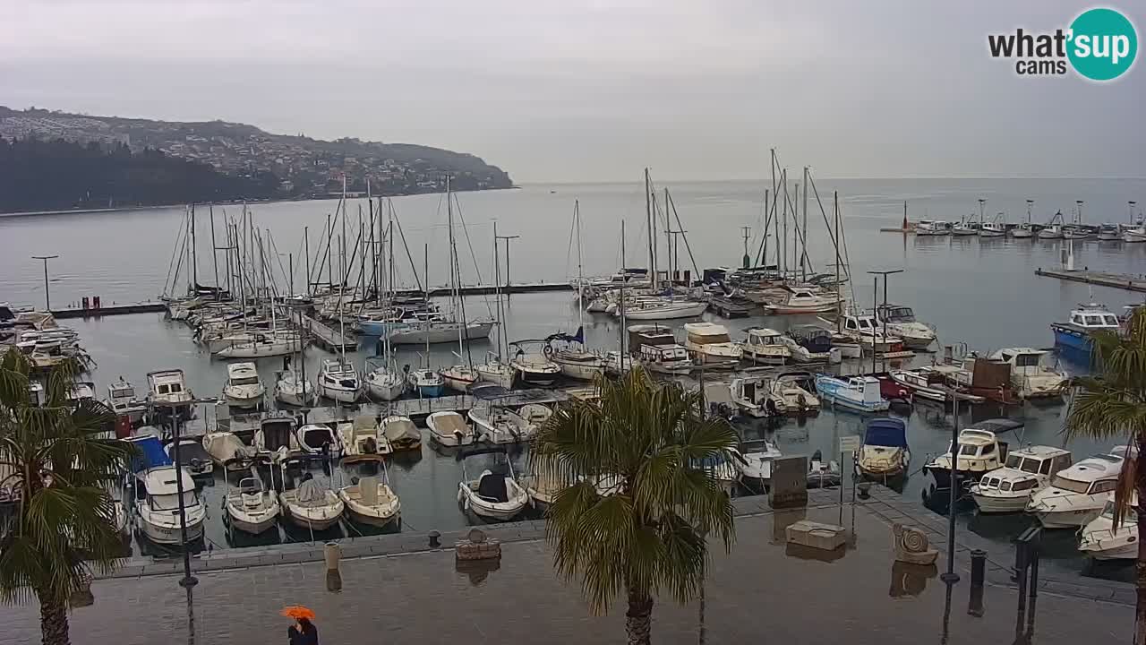 Webcam Capodistria – marina e lungo mare dall’Hotel Grand Koper