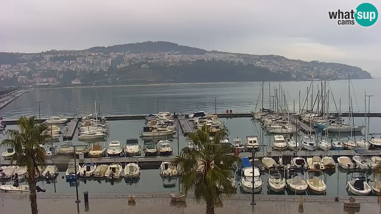 Spletna kamera Koper – Panorama na marino in promenado s Hotela Grand Koper