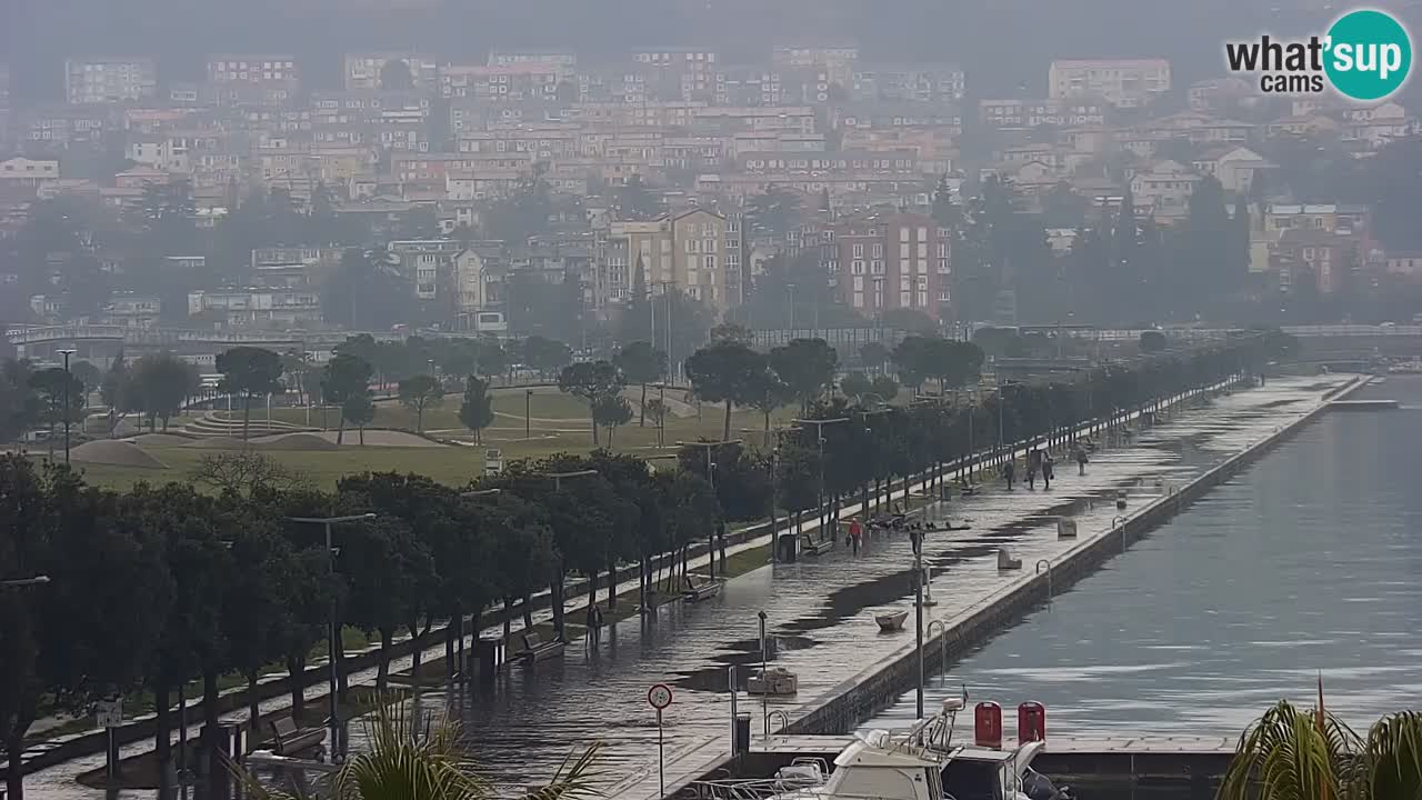 Webcam Koper – Panorama de la marina et de la promenade depuis le Grand Hotel Koper