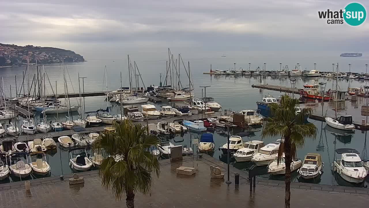 Spletna kamera Koper – Panorama na marino in promenado s Hotela Grand Koper
