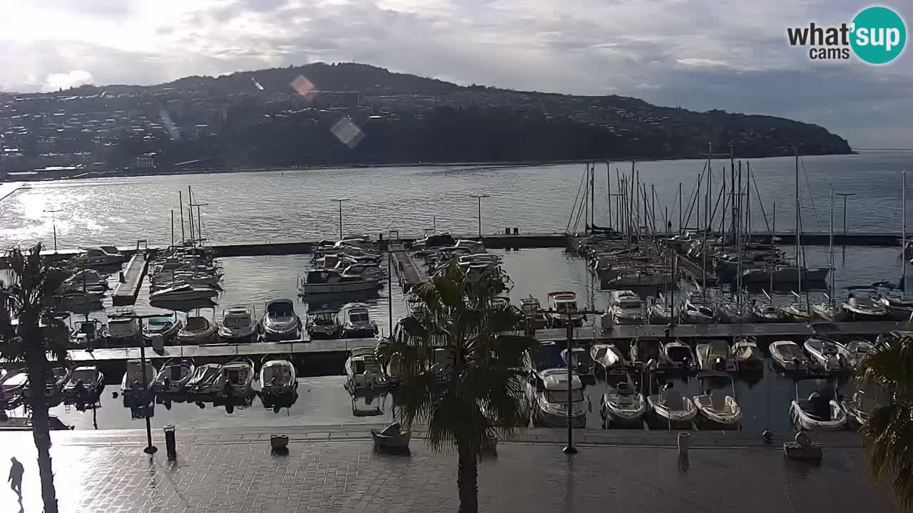 Spletna kamera Koper – Panorama na marino in promenado s Hotela Grand Koper