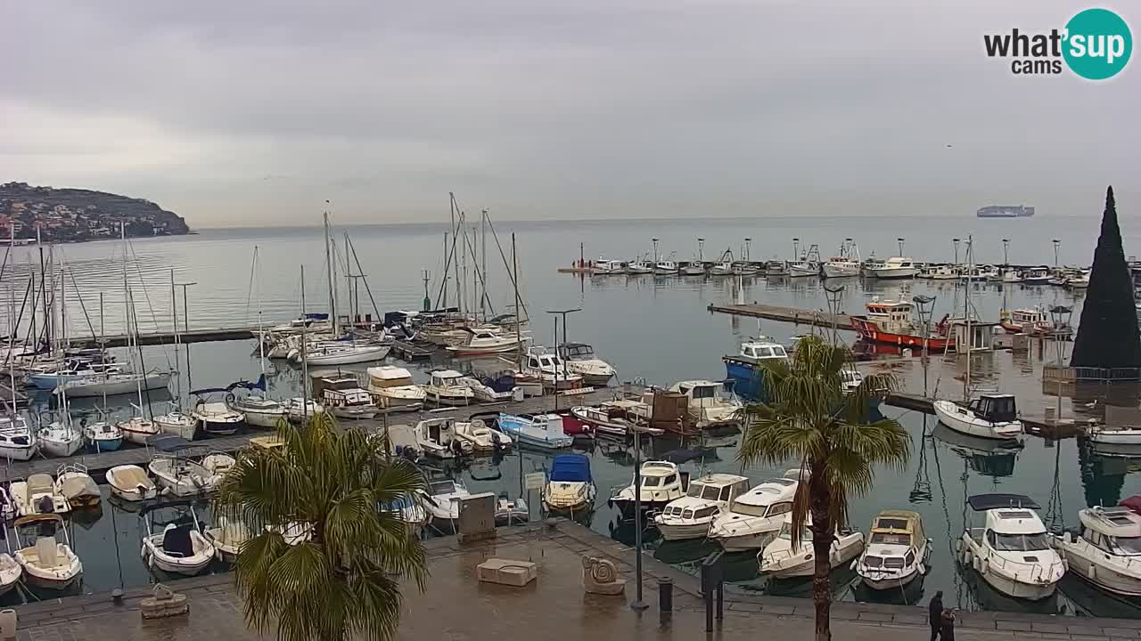 Web kamera Koper – marina i promenada – hotel Grand Koper