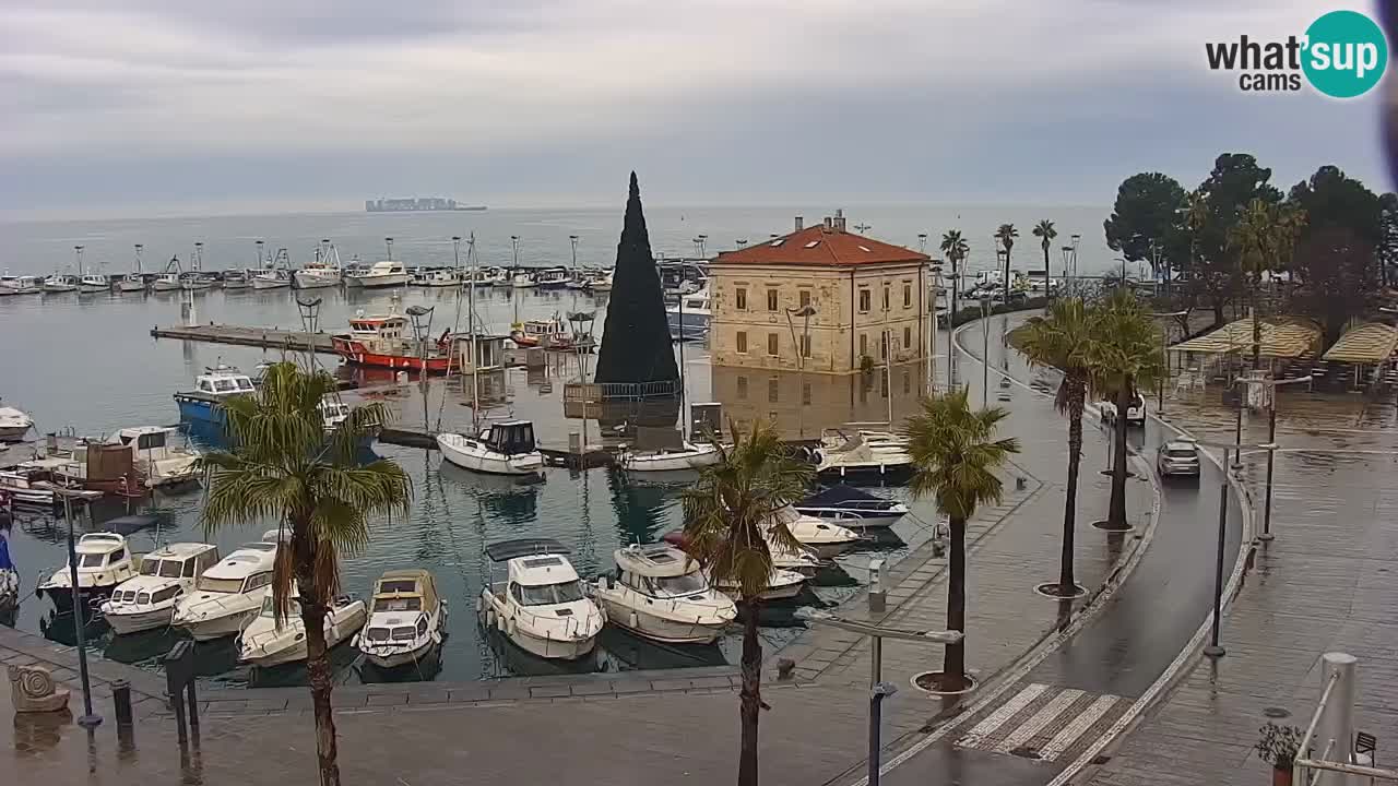 Spletna kamera Koper – Panorama na marino in promenado s Hotela Grand Koper