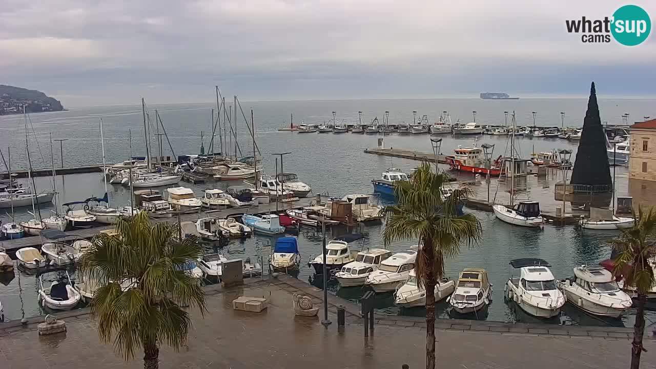 Web kamera Koper – marina i promenada – hotel Grand Koper